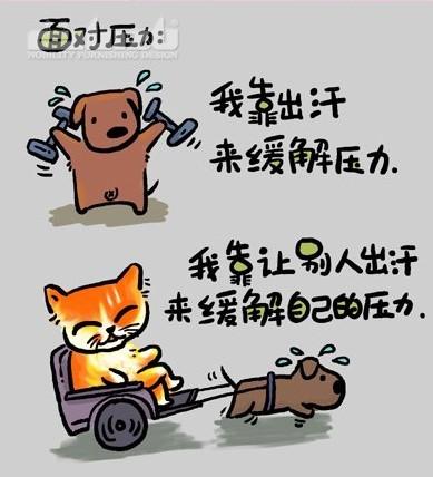 猫言猫语